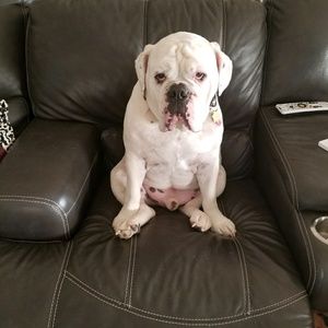 Meet your Posher, Martha